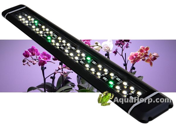 Kasvivalo LED 24W.